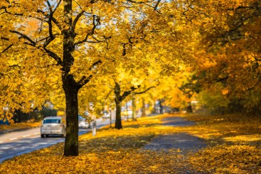 herfst