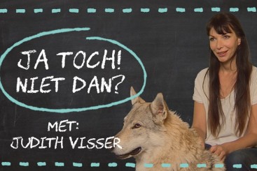 Judith visser